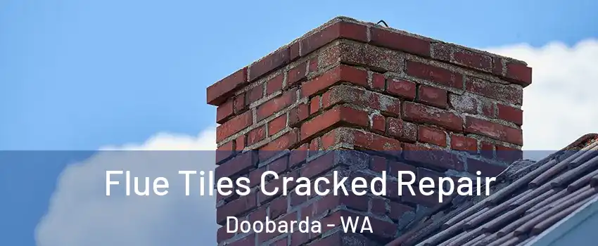 Flue Tiles Cracked Repair Doobarda - WA