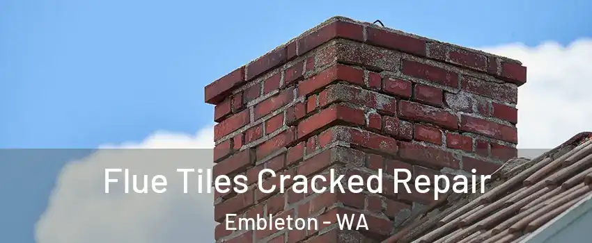 Flue Tiles Cracked Repair Embleton - WA