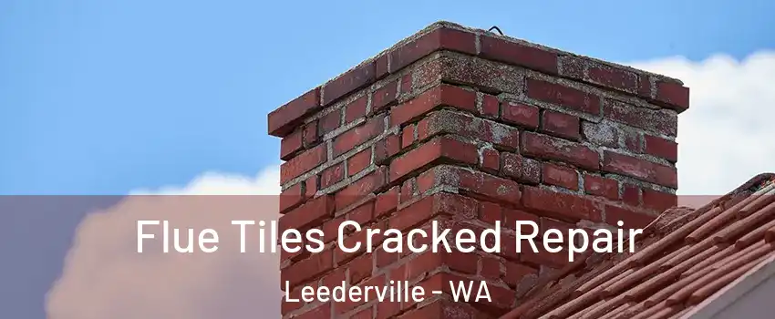 Flue Tiles Cracked Repair Leederville - WA