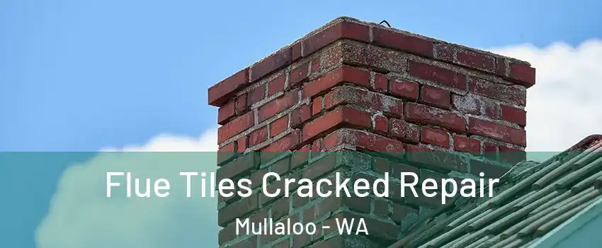 Flue Tiles Cracked Repair Mullaloo - WA