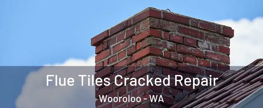Flue Tiles Cracked Repair Wooroloo - WA