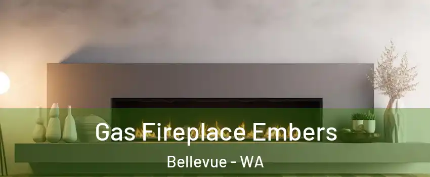 Gas Fireplace Embers Bellevue - WA