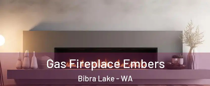 Gas Fireplace Embers Bibra Lake - WA