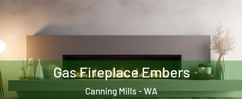Gas Fireplace Embers Canning Mills - WA