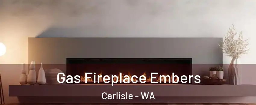 Gas Fireplace Embers Carlisle - WA