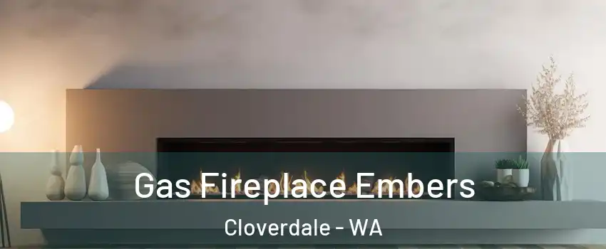 Gas Fireplace Embers Cloverdale - WA