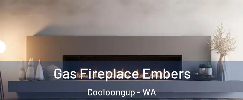 Gas Fireplace Embers Cooloongup - WA