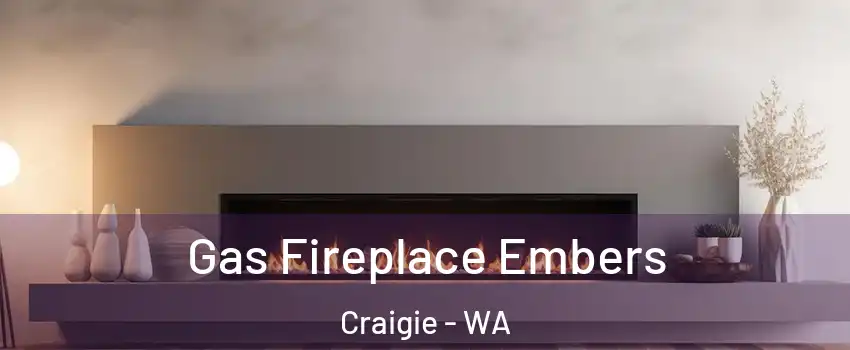 Gas Fireplace Embers Craigie - WA