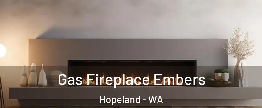 Gas Fireplace Embers Hopeland - WA