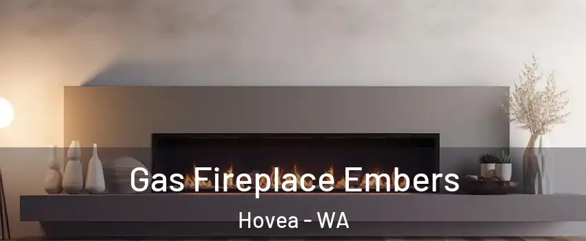 Gas Fireplace Embers Hovea - WA