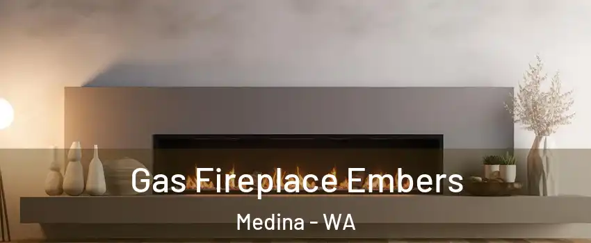 Gas Fireplace Embers Medina - WA
