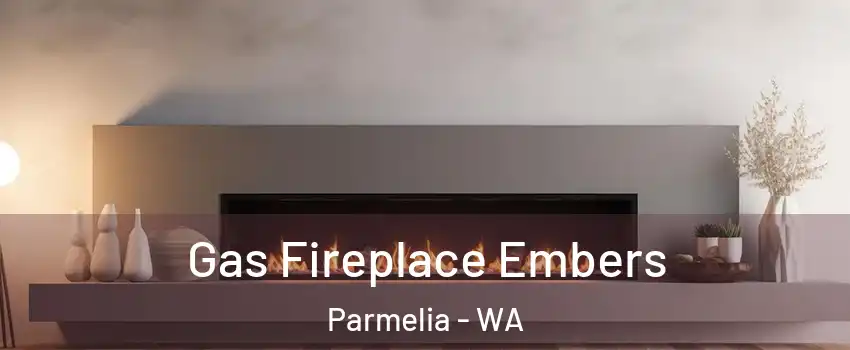 Gas Fireplace Embers Parmelia - WA