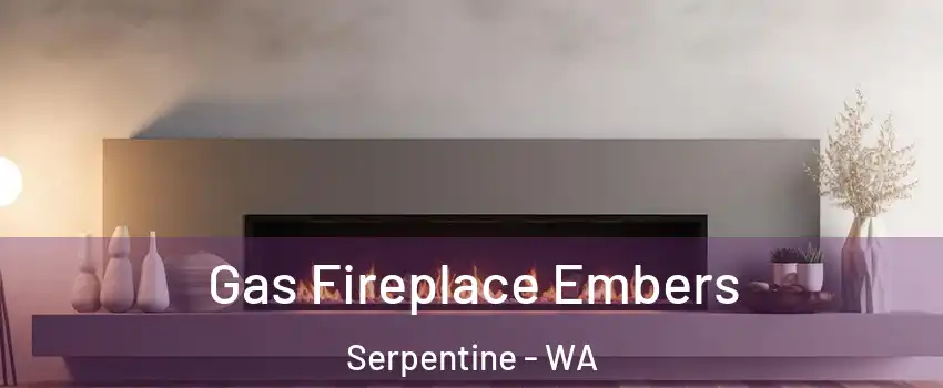 Gas Fireplace Embers Serpentine - WA