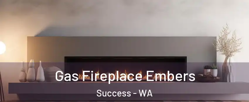 Gas Fireplace Embers Success - WA