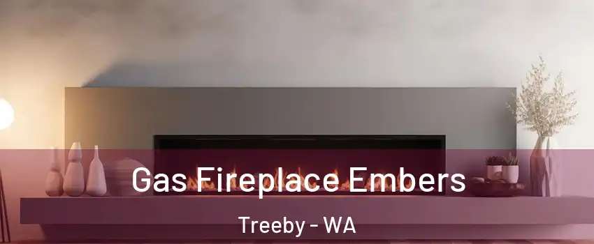 Gas Fireplace Embers Treeby - WA
