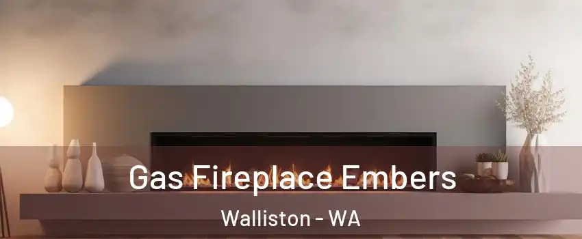 Gas Fireplace Embers Walliston - WA