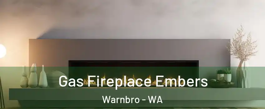 Gas Fireplace Embers Warnbro - WA