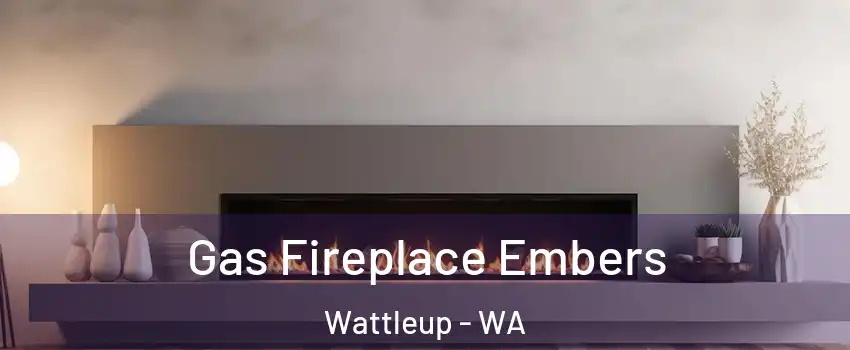 Gas Fireplace Embers Wattleup - WA