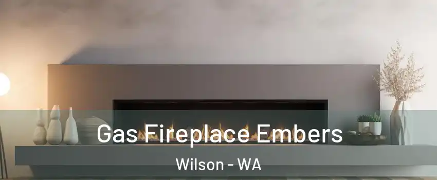 Gas Fireplace Embers Wilson - WA