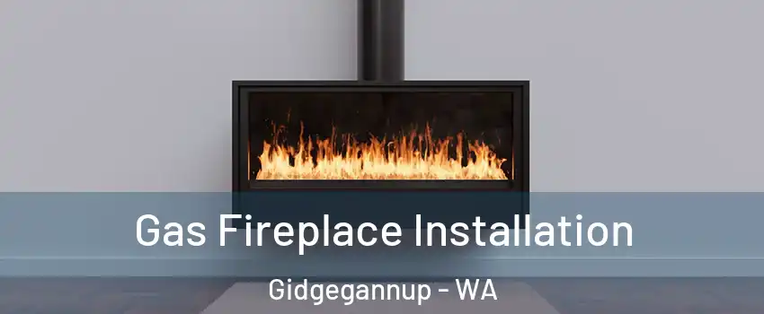 Gas Fireplace Installation Gidgegannup - WA