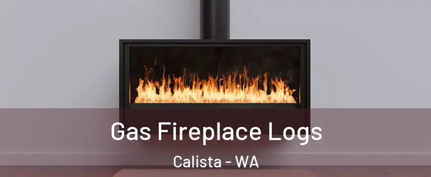 Gas Fireplace Logs Calista - WA