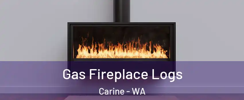 Gas Fireplace Logs Carine - WA