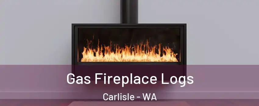 Gas Fireplace Logs Carlisle - WA