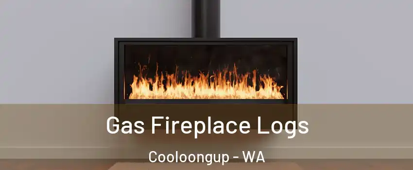 Gas Fireplace Logs Cooloongup - WA