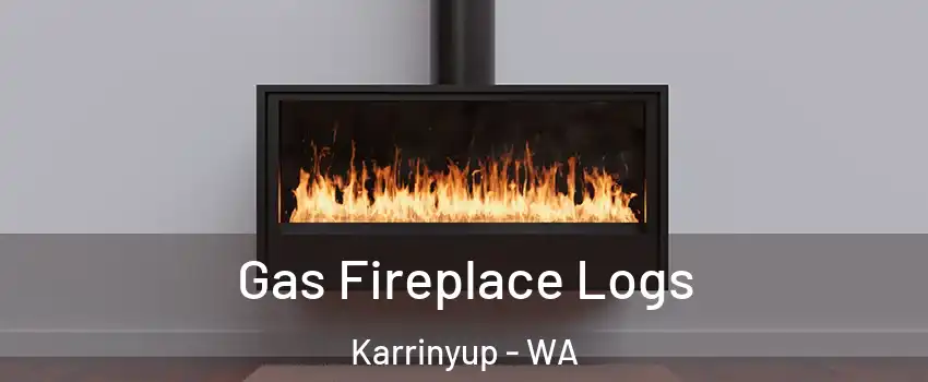 Gas Fireplace Logs Karrinyup - WA