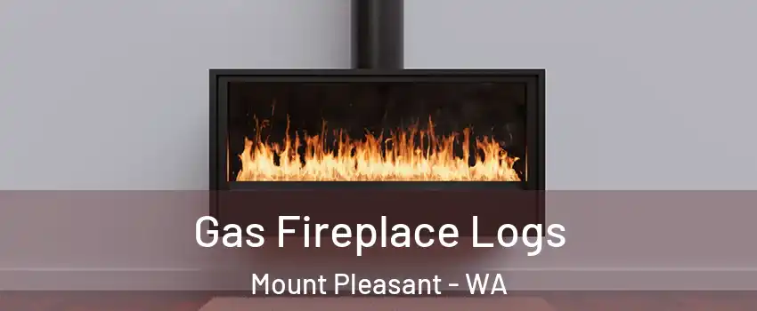 Gas Fireplace Logs Mount Pleasant - WA