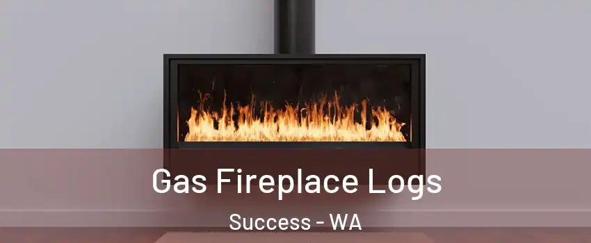 Gas Fireplace Logs Success - WA