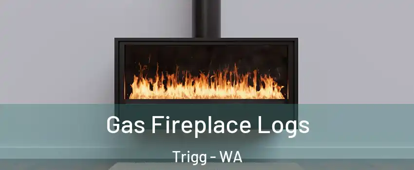 Gas Fireplace Logs Trigg - WA