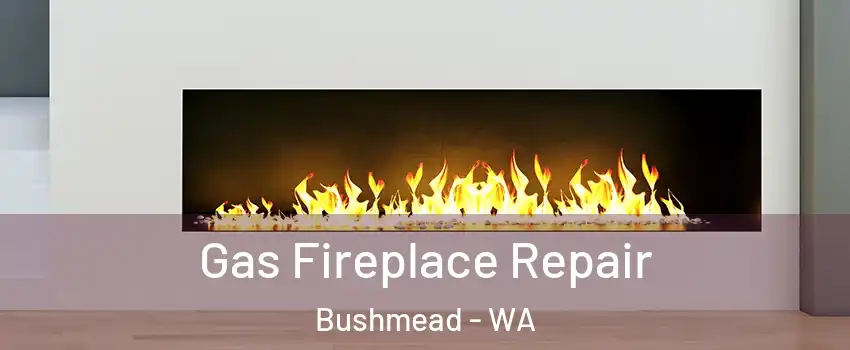 Gas Fireplace Repair Bushmead - WA
