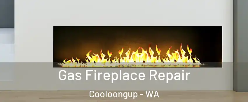Gas Fireplace Repair Cooloongup - WA
