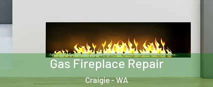Gas Fireplace Repair Craigie - WA