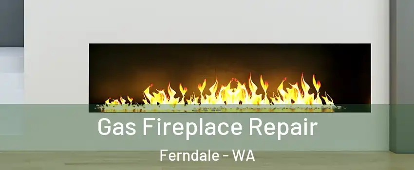  Gas Fireplace Repair Ferndale - WA