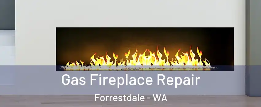 Gas Fireplace Repair Forrestdale - WA