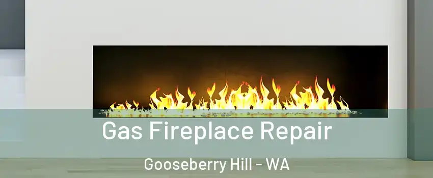 Gas Fireplace Repair Gooseberry Hill - WA