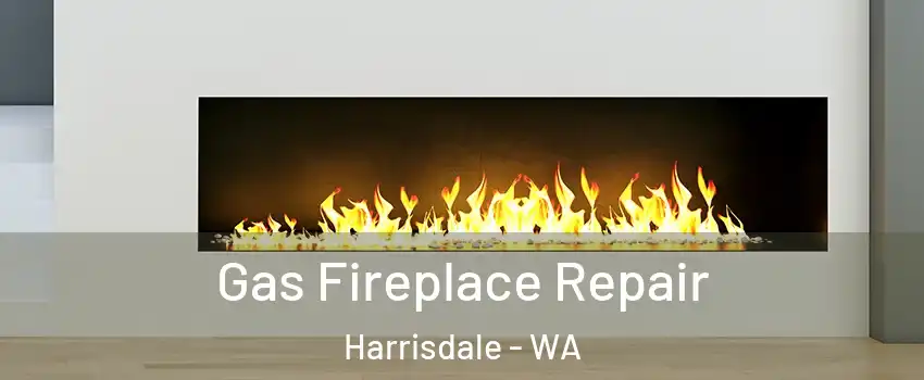 Gas Fireplace Repair Harrisdale - WA