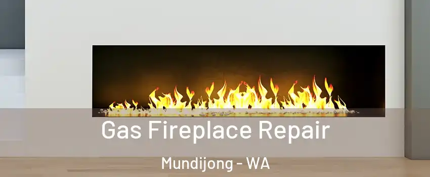 Gas Fireplace Repair Mundijong - WA