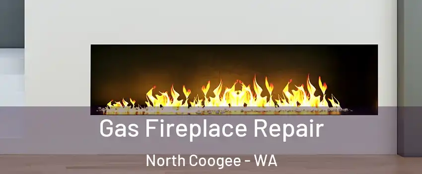 Gas Fireplace Repair North Coogee - WA
