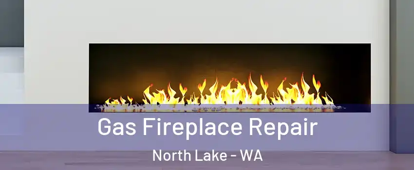 Gas Fireplace Repair North Lake - WA