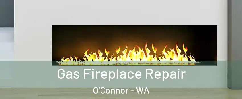 Gas Fireplace Repair O'Connor - WA
