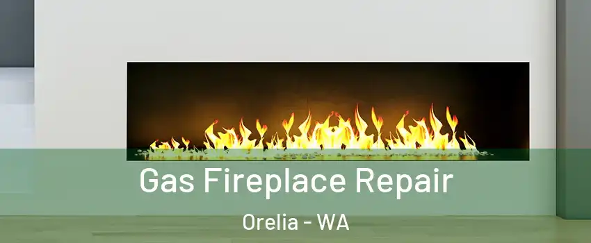 Gas Fireplace Repair Orelia - WA
