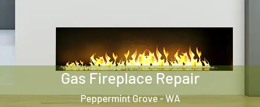 Gas Fireplace Repair Peppermint Grove - WA