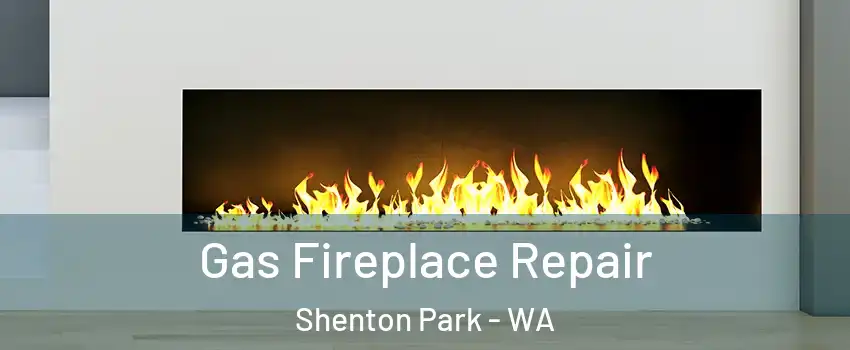Gas Fireplace Repair Shenton Park - WA