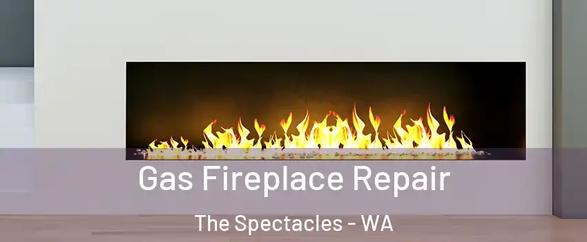 Gas Fireplace Repair The Spectacles - WA
