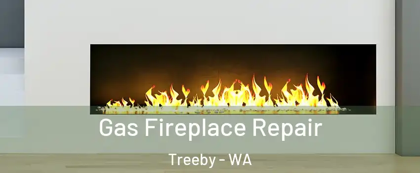 Gas Fireplace Repair Treeby - WA