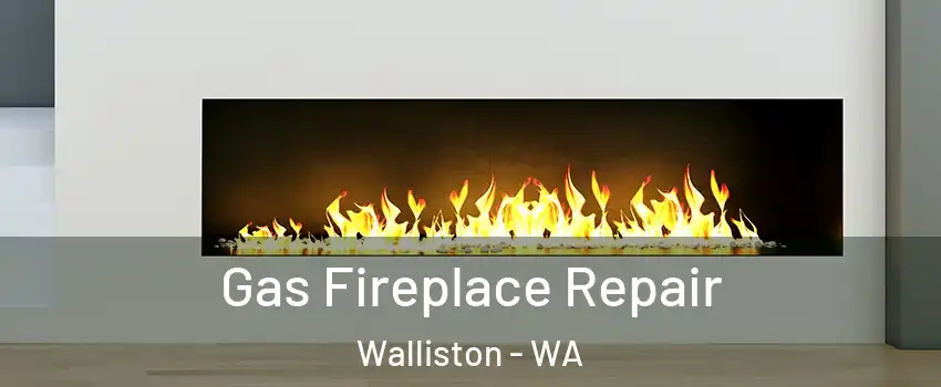 Gas Fireplace Repair Walliston - WA
