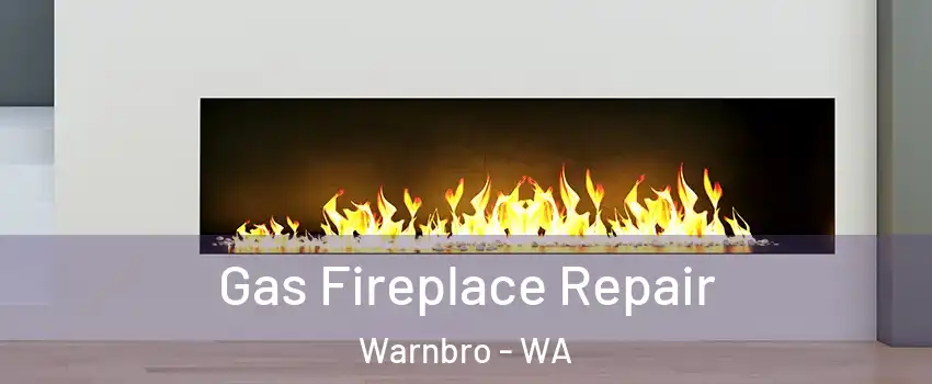 Gas Fireplace Repair Warnbro - WA